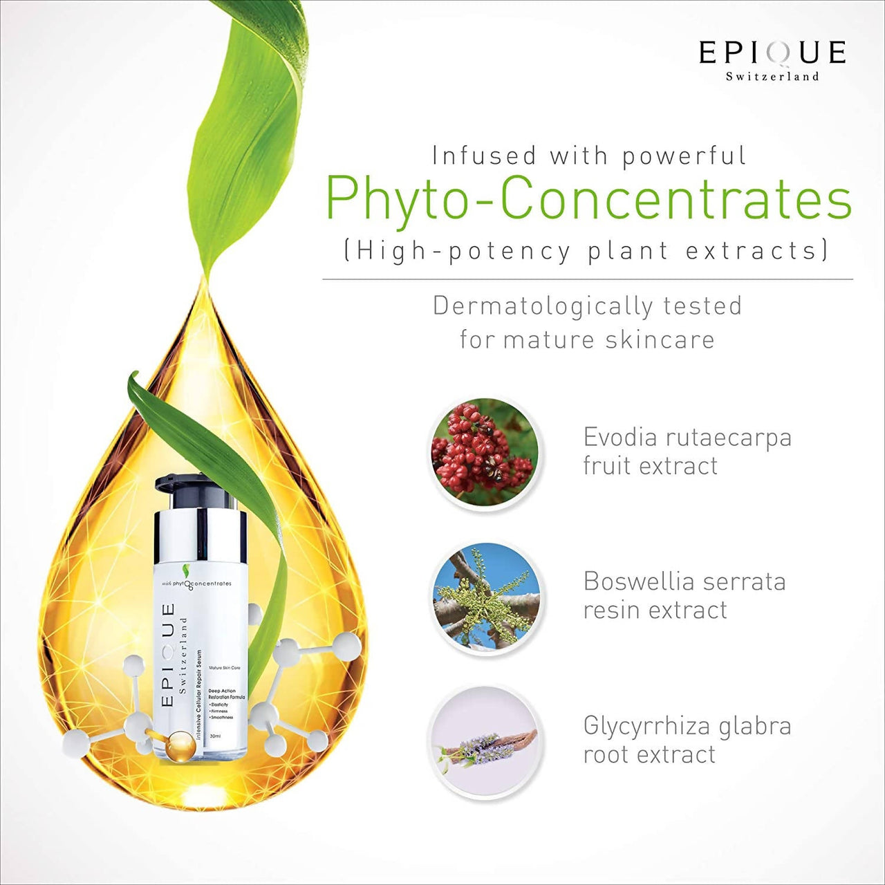 https://cdn.shopify.com/s/files/1/1857/6931/products/0m8jmAVYkc.jpg?v=1659505512