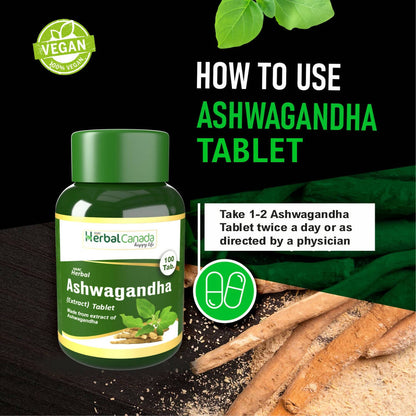 https://cdn.shopify.com/s/files/1/1857/6931/products/0mL2hHWcGq.jpg?v=1702126812