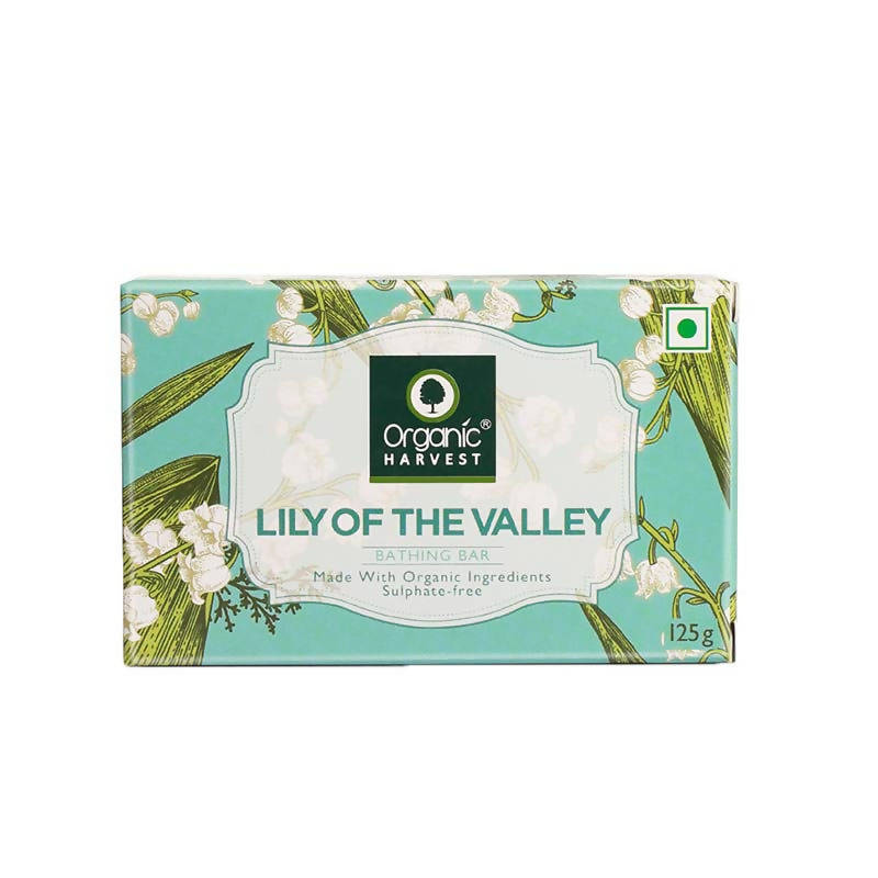 https://cdn.shopify.com/s/files/1/1857/6931/products/0odzyefBYh.jpg?v=1762282203