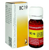 https://cdn.shopify.com/s/files/1/1857/6931/files/0pcOz6O9XB-Photoroom_1.png?v=1772012460