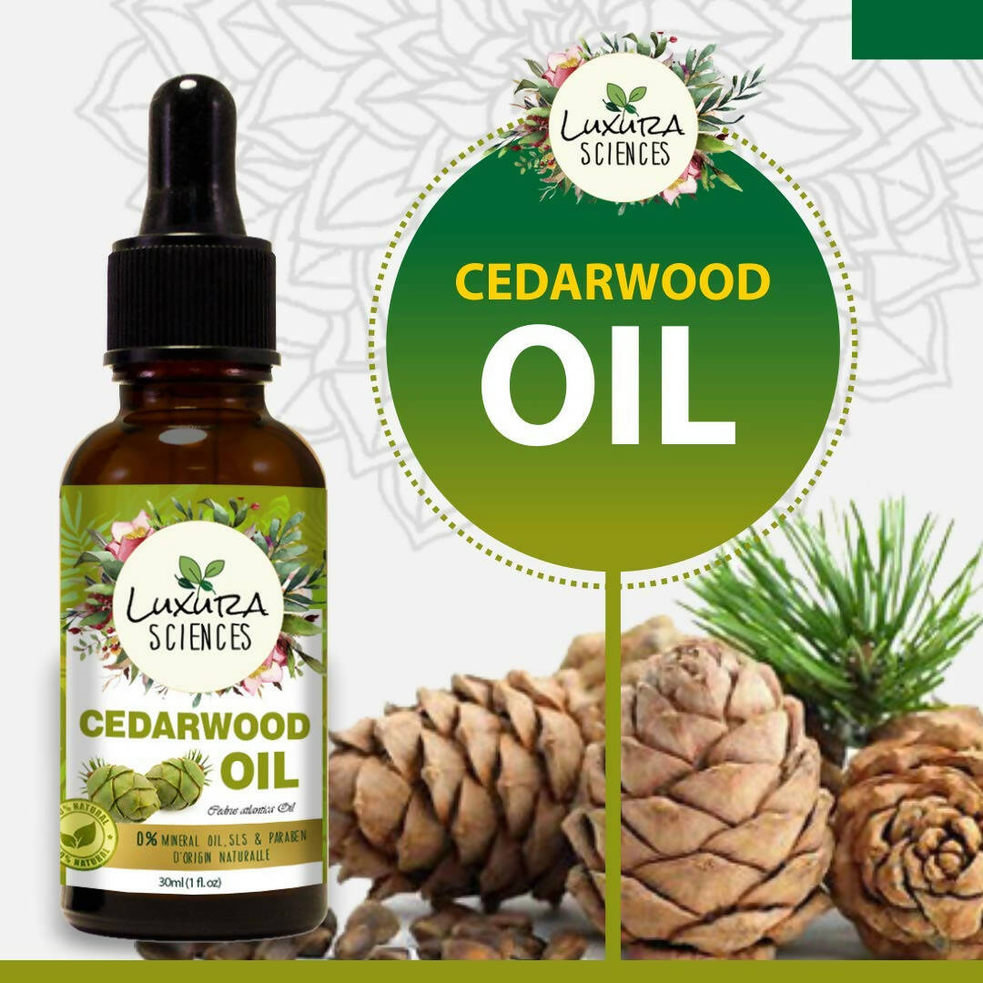 https://cdn.shopify.com/s/files/1/1857/6931/products/0sIXA9x4Vt.jpg?v=1673349953