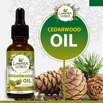 https://cdn.shopify.com/s/files/1/1857/6931/products/0sIXA9x4Vt.jpg?v=1673349953