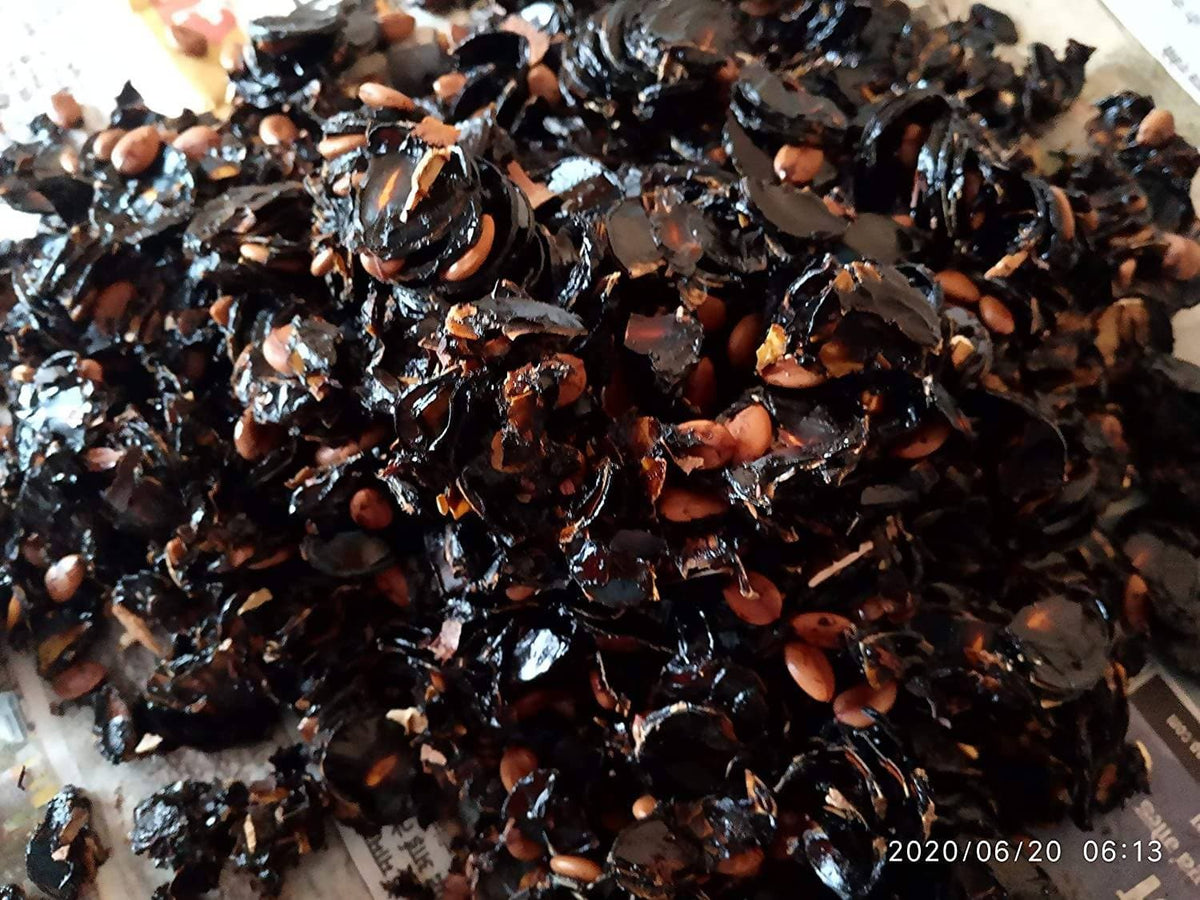Image 1 of Amaltaas Pulp - Cassia Fistula Pulp