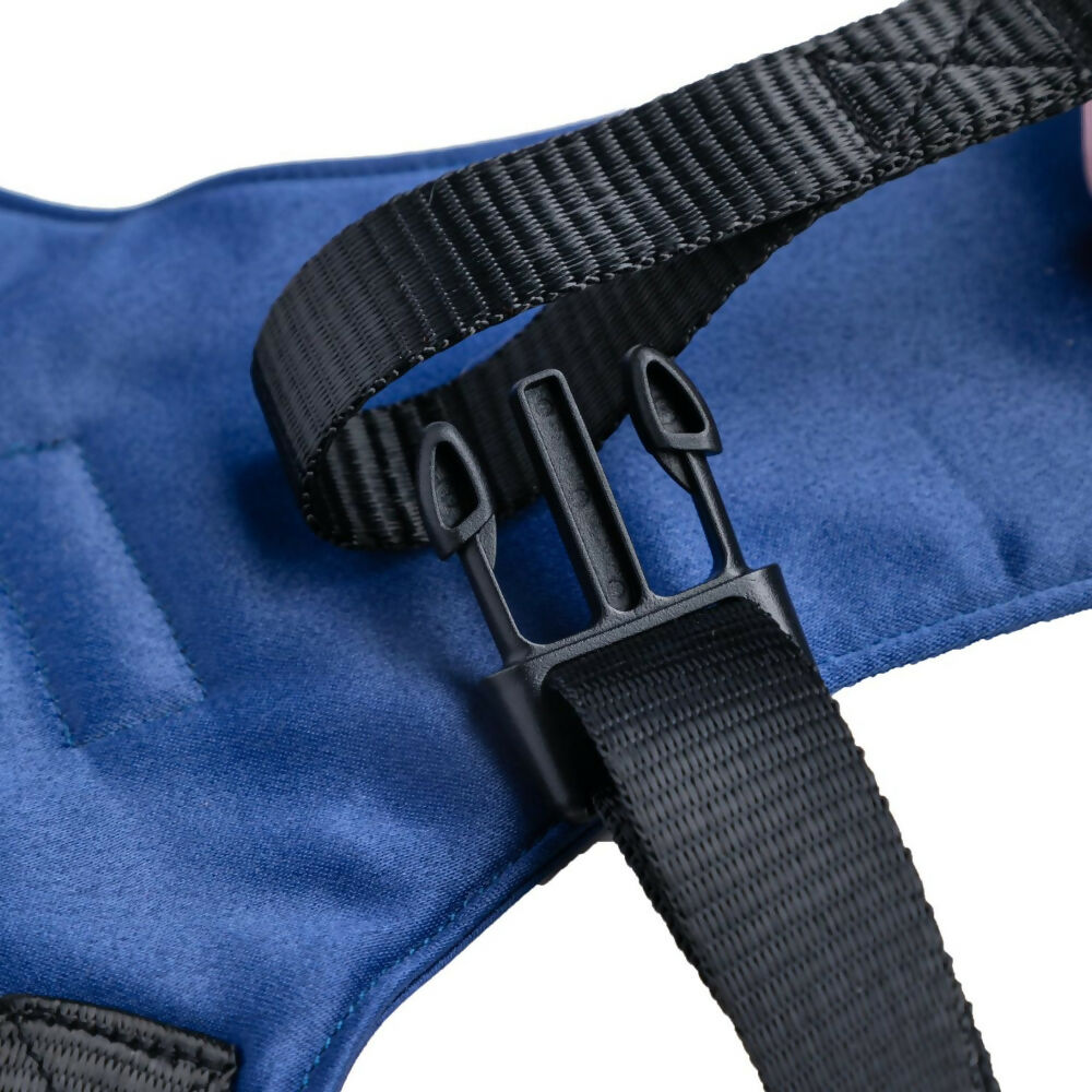 https://cdn.shopify.com/s/files/1/1857/6931/files/0t1TrgG7mD.jpg?v=1784295224