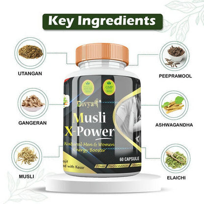 https://cdn.shopify.com/s/files/1/1857/6931/products/0vNAvcqNXV.jpg?v=1672210509