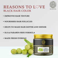https://cdn.shopify.com/s/files/1/1857/6931/products/0zlMWBjA2O.jpg?v=1702633908