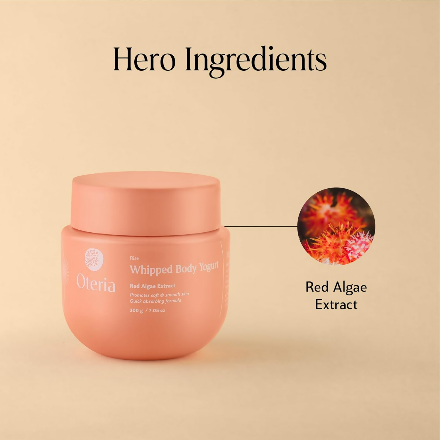 https://cdn.shopify.com/s/files/1/1857/6931/files/0zlOWxIvrR.png?v=1726126157