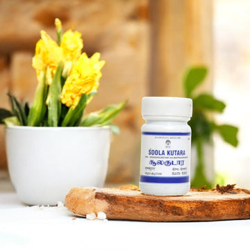 https://cdn.shopify.com/s/files/1/1857/6931/files/1-373.jpg?v=1763037679
