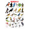 Image 1 of Dreamland Publications Educational Chart for Kids - Birds-2