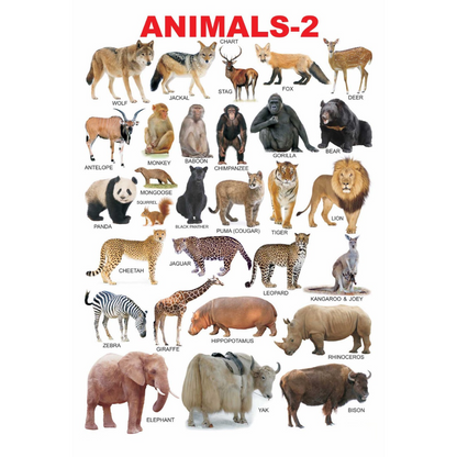 https://cdn.shopify.com/s/files/1/1857/6931/files/1000x1000-2023-12-27T183257.686.png?v=1738821148