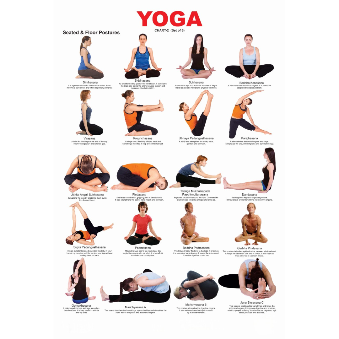https://cdn.shopify.com/s/files/1/1857/6931/files/1000x1000-2023-12-27T184247.744.png?v=1759387686