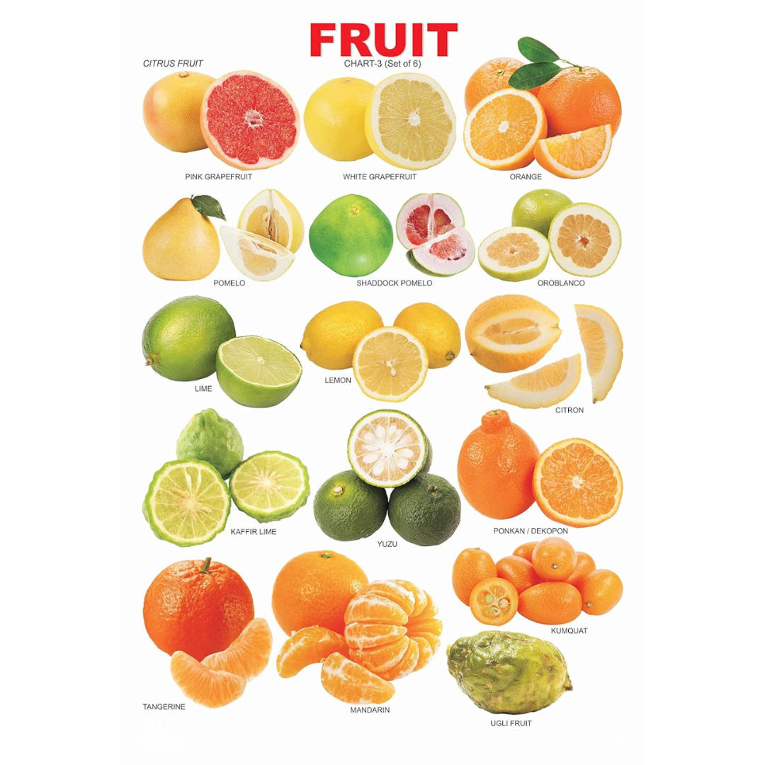 Image 1 of Dreamland Publications Educational Chart for Kids - Fruit Chart - 3