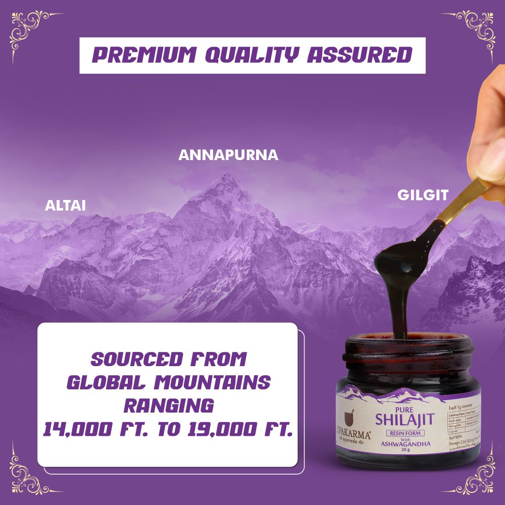 https://cdn.shopify.com/s/files/1/1857/6931/files/10_2e47e82a-92a6-4c3f-ac33-d8db22024adb.jpg?v=1712210094