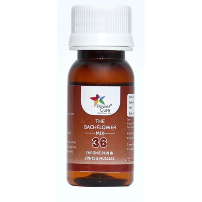https://cdn.shopify.com/s/files/1/1857/6931/files/118952-2.webp?v=1769165488