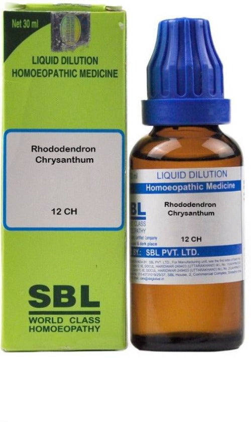 https://cdn.shopify.com/s/files/1/1857/6931/products/12-ch-rhododendron-chrysanthum-sbl-original-imagy7ny7zjdc9nd.jpg?v=1632565807