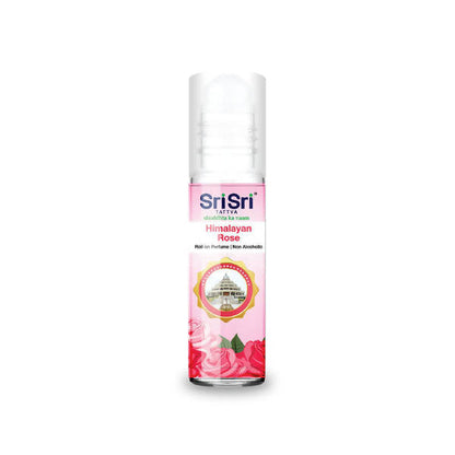 https://cdn.shopify.com/s/files/1/1857/6931/products/129XrIDF7w.jpg?v=1652859568