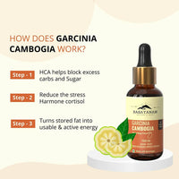 https://cdn.shopify.com/s/files/1/1857/6931/products/12NBjhsKVD.jpg?v=1681543692