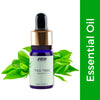 https://cdn.shopify.com/s/files/1/1857/6931/files/12daef48904245702076_1.jpg?v=1770721646