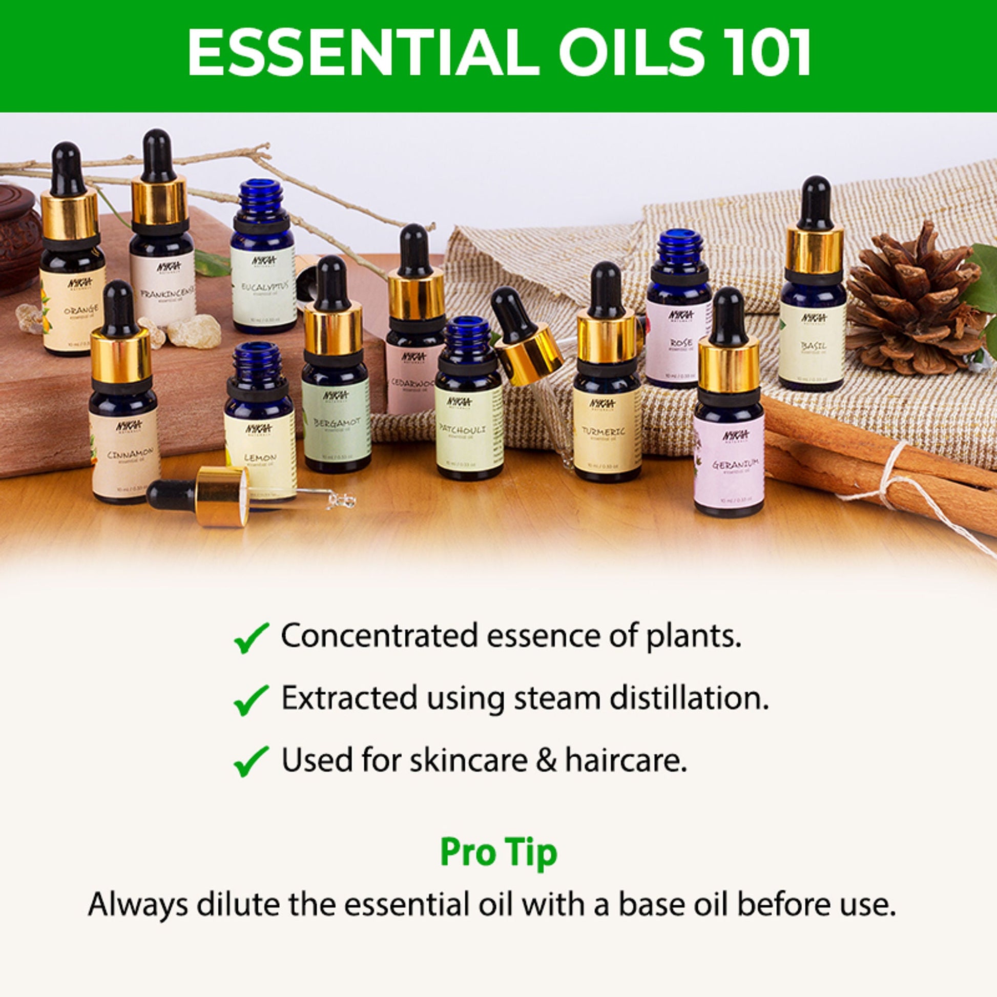 https://cdn.shopify.com/s/files/1/1857/6931/files/12daef48904245702076_5.jpg?v=1770721648