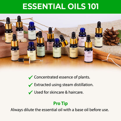 https://cdn.shopify.com/s/files/1/1857/6931/files/12daef48904245702076_5.jpg?v=1770721648