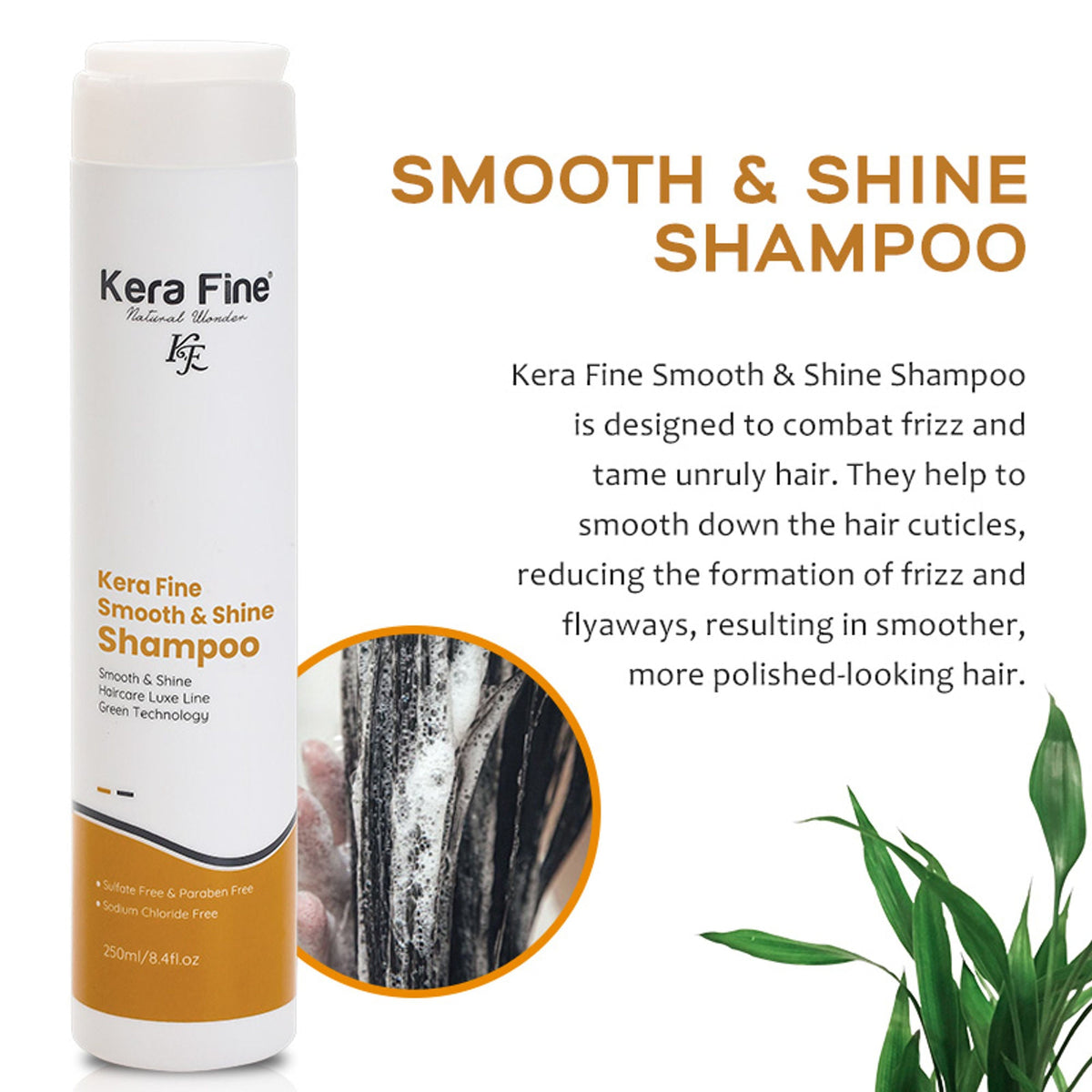 https://cdn.shopify.com/s/files/1/1857/6931/files/14cb61e8906186110217_2.jpg?v=1778674878