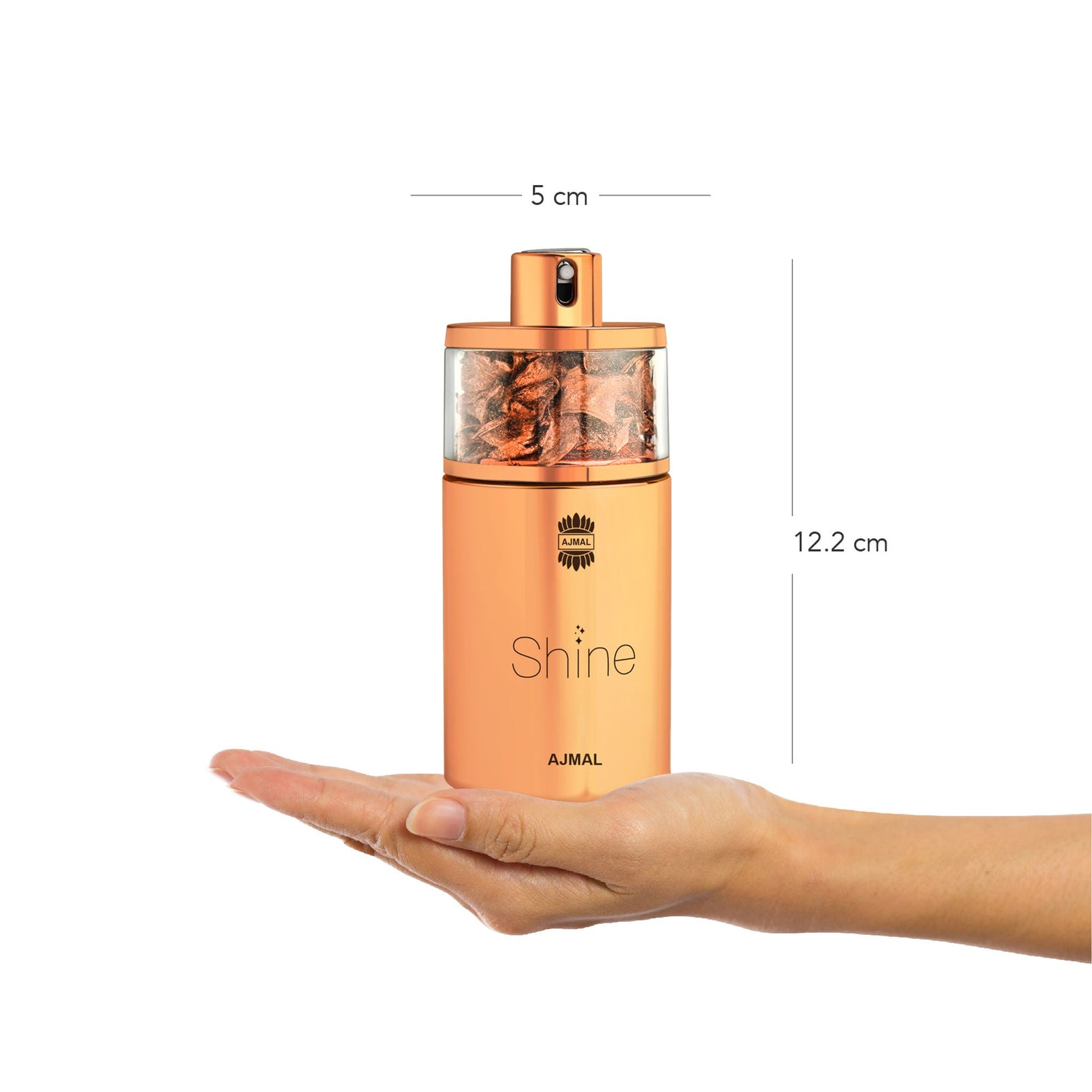 https://cdn.shopify.com/s/files/1/1857/6931/files/1531d776293708009893ab_ab4.jpg?v=1779877621