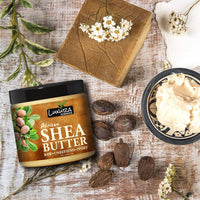 https://cdn.shopify.com/s/files/1/1857/6931/products/1563792933127-002.jpg?v=1673264446