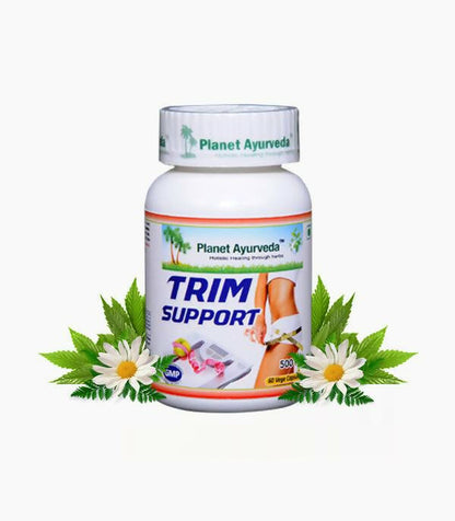 https://cdn.shopify.com/s/files/1/1857/6931/products/15SzArWZCq.jpg?v=1762350821