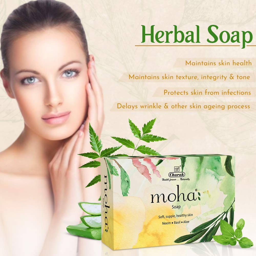 https://cdn.shopify.com/s/files/1/1857/6931/products/15gMSvAkEd.jpg?v=1644233401