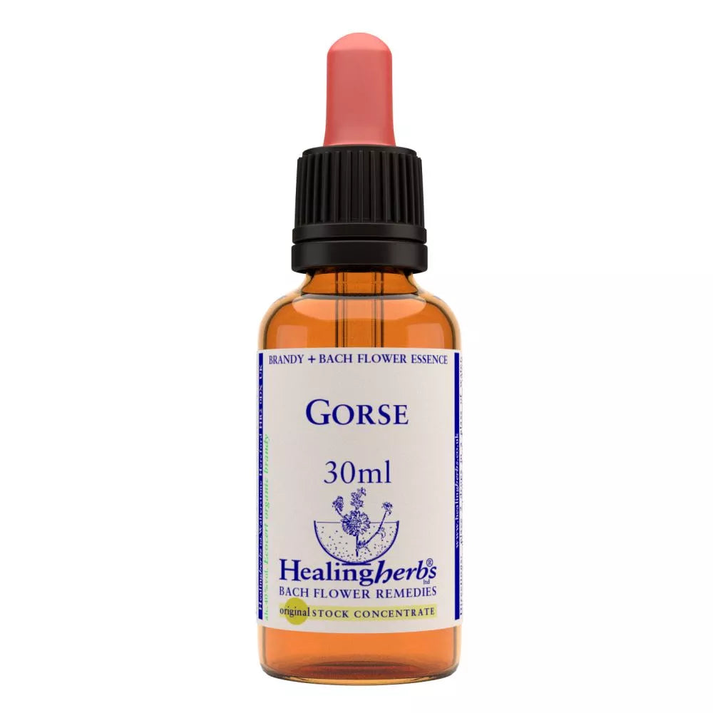 https://cdn.shopify.com/s/files/1/1857/6931/files/166416-1.webp?v=1769160458