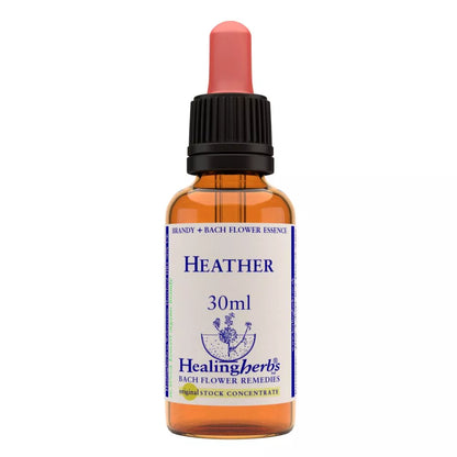 https://cdn.shopify.com/s/files/1/1857/6931/files/166418-1.webp?v=1769160424