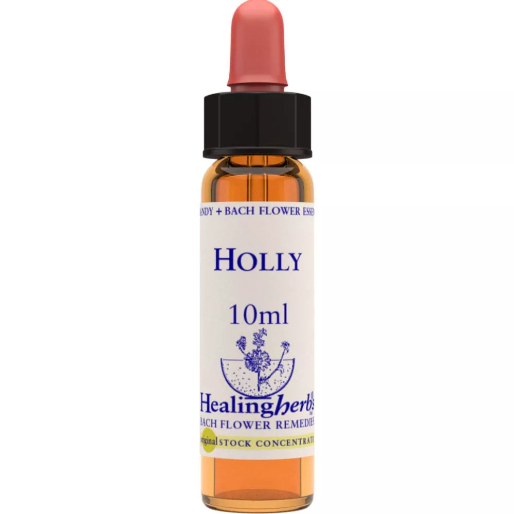https://cdn.shopify.com/s/files/1/1857/6931/files/166419-1.webp?v=1769160517