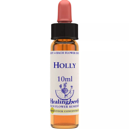 https://cdn.shopify.com/s/files/1/1857/6931/files/166419-1.webp?v=1769160517