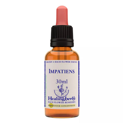 https://cdn.shopify.com/s/files/1/1857/6931/files/166426-1.webp?v=1769160486