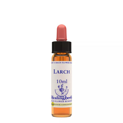 https://cdn.shopify.com/s/files/1/1857/6931/files/166427-1.webp?v=1769160586