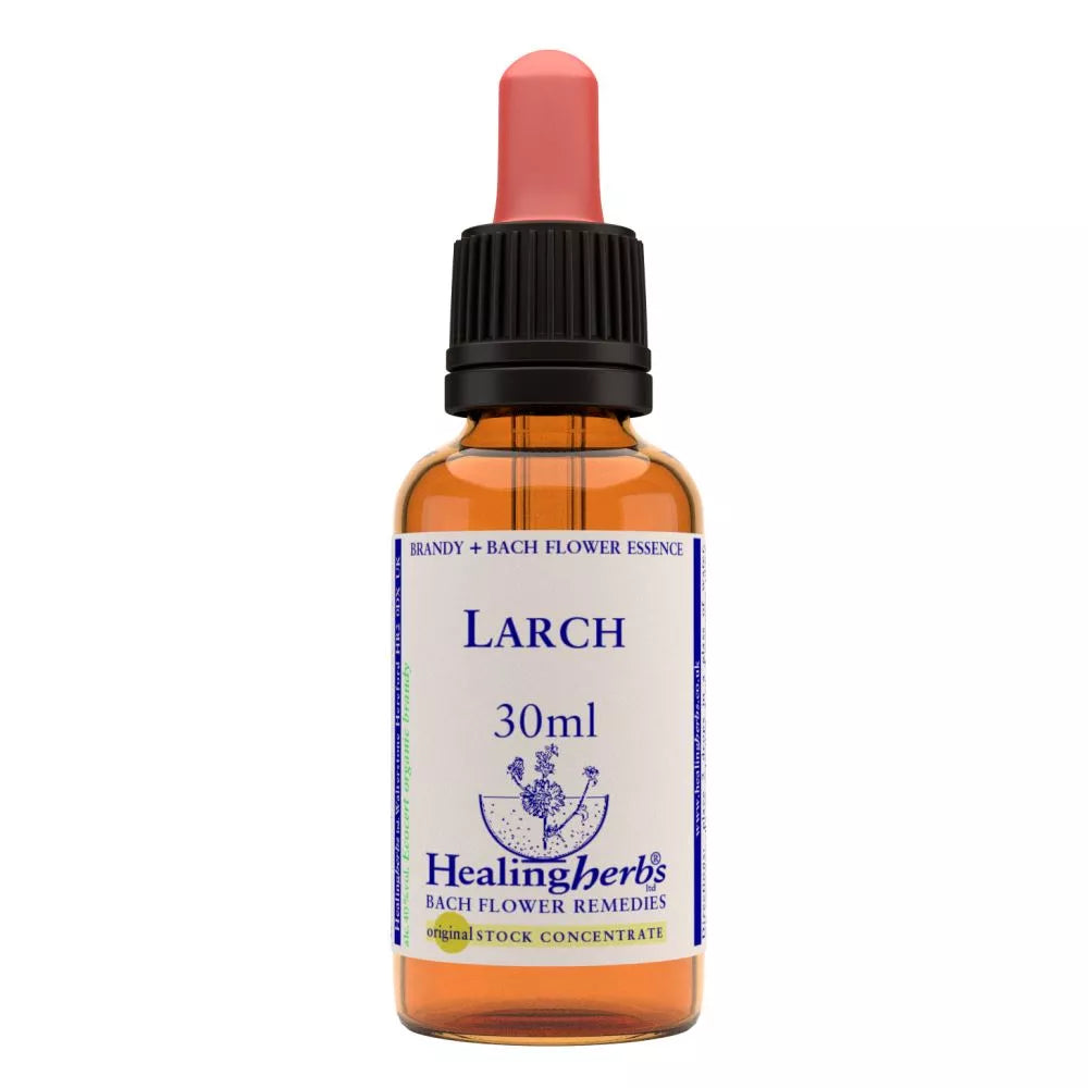 https://cdn.shopify.com/s/files/1/1857/6931/files/166428-1.webp?v=1769160587