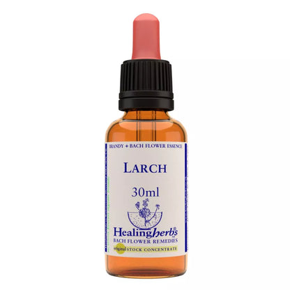 https://cdn.shopify.com/s/files/1/1857/6931/files/166428-1.webp?v=1769160587