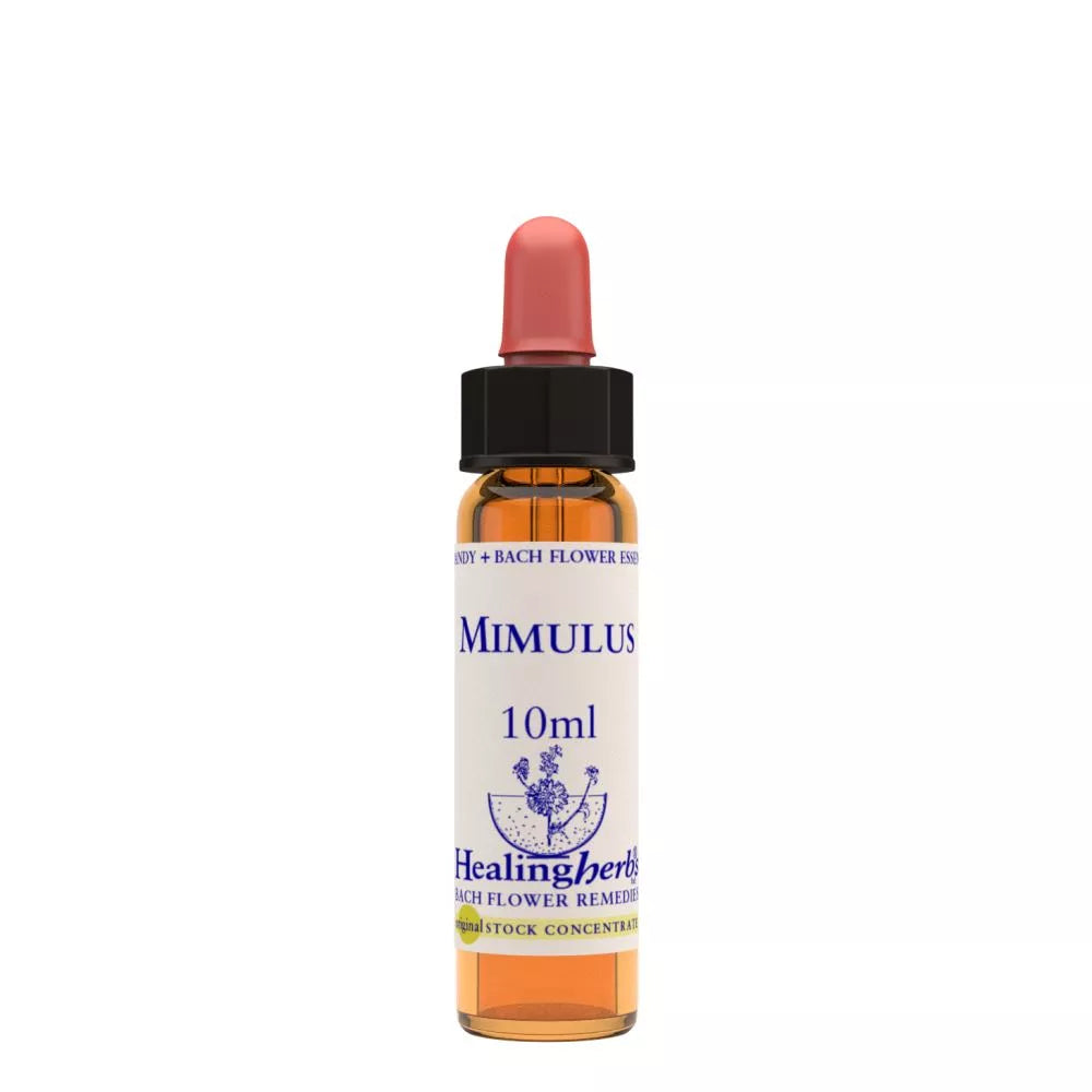 https://cdn.shopify.com/s/files/1/1857/6931/files/166429-1.webp?v=1769160529