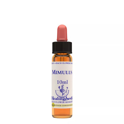 https://cdn.shopify.com/s/files/1/1857/6931/files/166429-1.webp?v=1769160529