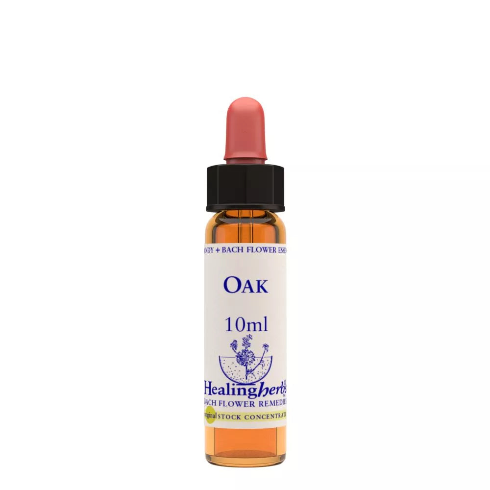 https://cdn.shopify.com/s/files/1/1857/6931/files/166433-1.webp?v=1769160505