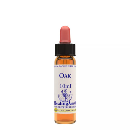 https://cdn.shopify.com/s/files/1/1857/6931/files/166433-1.webp?v=1769160505