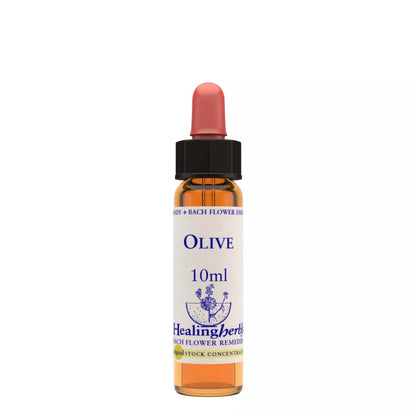 https://cdn.shopify.com/s/files/1/1857/6931/files/166435-1.webp?v=1769160433