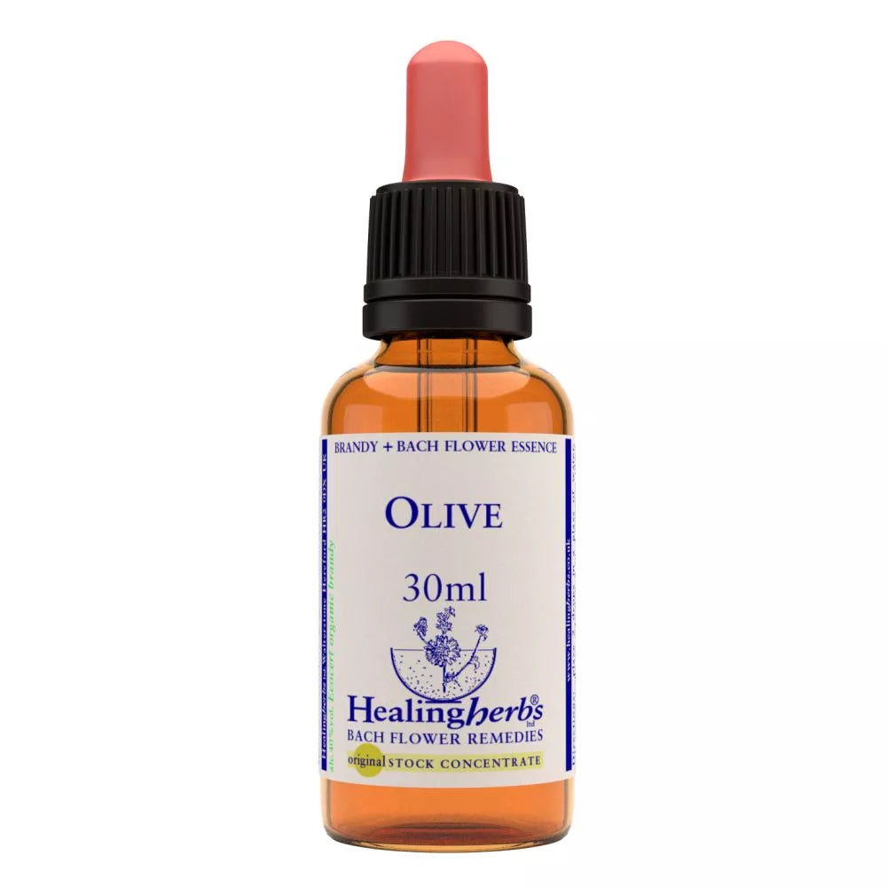 https://cdn.shopify.com/s/files/1/1857/6931/files/166436-1.webp?v=1769160433
