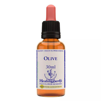 https://cdn.shopify.com/s/files/1/1857/6931/files/166436-1.webp?v=1769160433