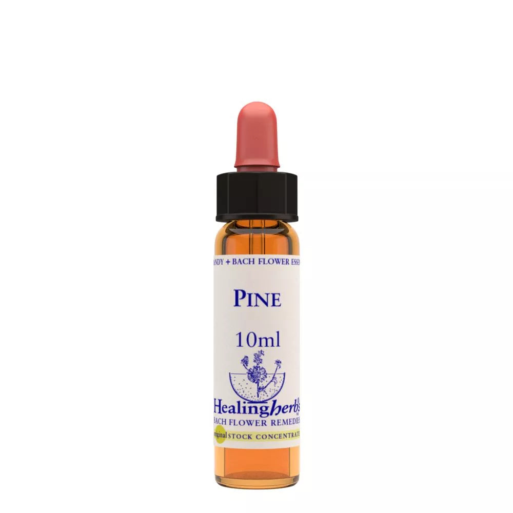 https://cdn.shopify.com/s/files/1/1857/6931/files/166437-1.webp?v=1769160574
