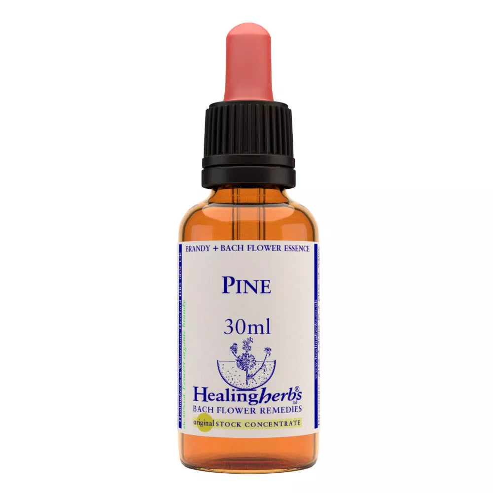 https://cdn.shopify.com/s/files/1/1857/6931/files/166438-1.webp?v=1769160568