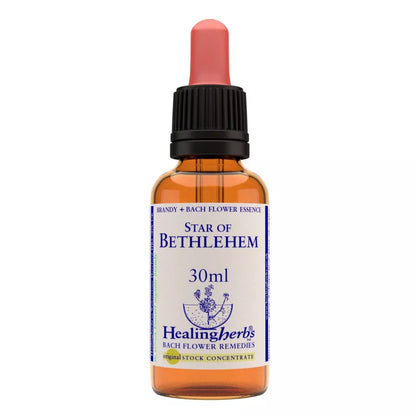 https://cdn.shopify.com/s/files/1/1857/6931/files/166448-1.webp?v=1769160441