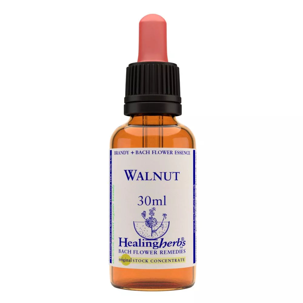 https://cdn.shopify.com/s/files/1/1857/6931/files/166456-1.webp?v=1769160467