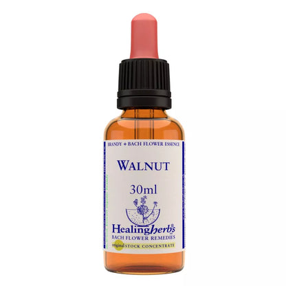 https://cdn.shopify.com/s/files/1/1857/6931/files/166456-1.webp?v=1769160467
