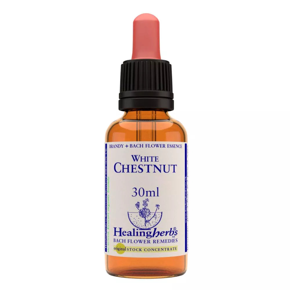 https://cdn.shopify.com/s/files/1/1857/6931/files/166460-1.webp?v=1769160416
